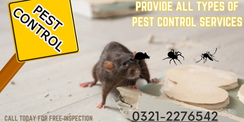 Pest Treatment Services