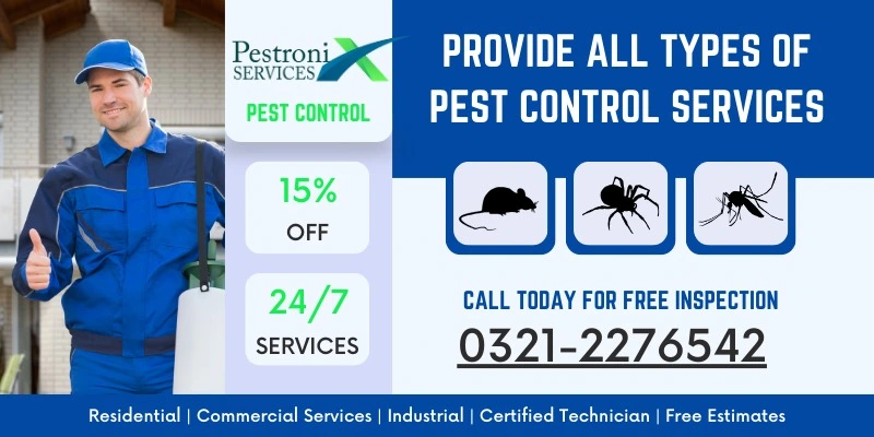 Pest Treatment Services