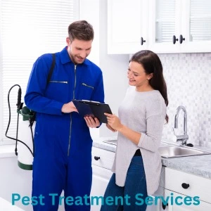Pest Treatment Services 
